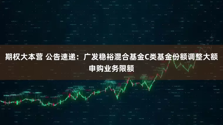 期权大本营 公告速递：广发稳裕混合基金C类基金份额调整大额申购业务限额