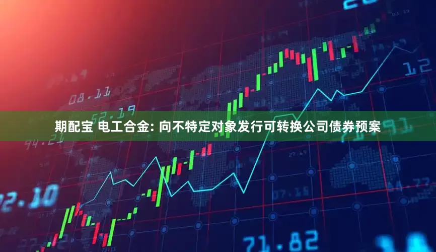 期配宝 电工合金: 向不特定对象发行可转换公司债券预案